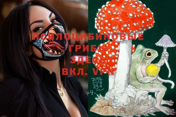 твердый Белоозёрский