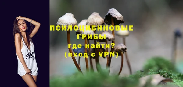 ешки Белокуриха