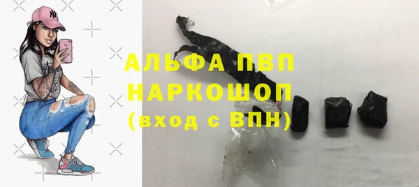 ешки Белокуриха
