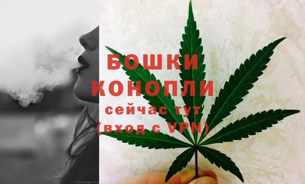 ешки Белокуриха
