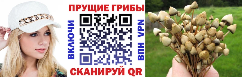Галлюциногенные грибы Magic Shrooms  Семикаракорск 